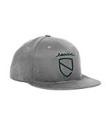 ESWIC Icon Grey Snapback