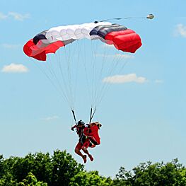 Pilot7 Main Parachute Canopy