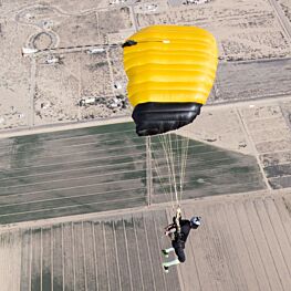 Icarus X-Fire Main Parachute Canopy